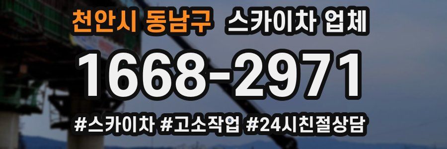 천안시 동남구 스카이차 업체