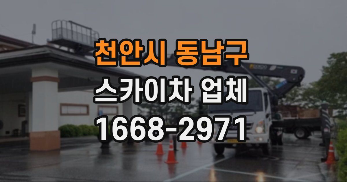 천안시 동남구 스카이차 업체