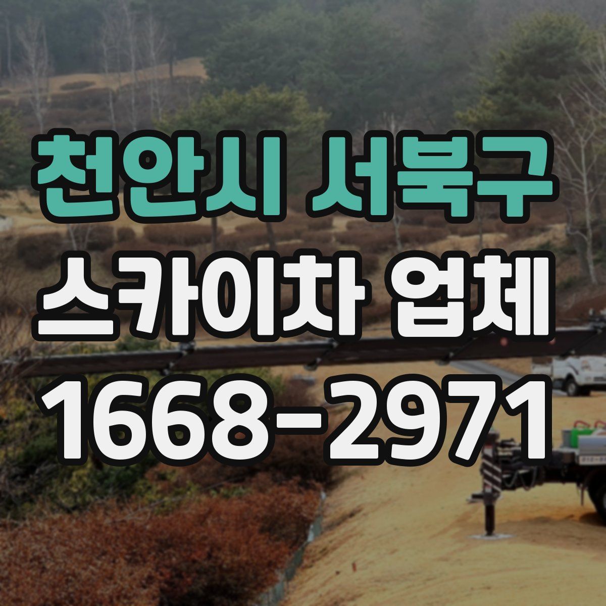 천안시 서북구 스카이차 업체