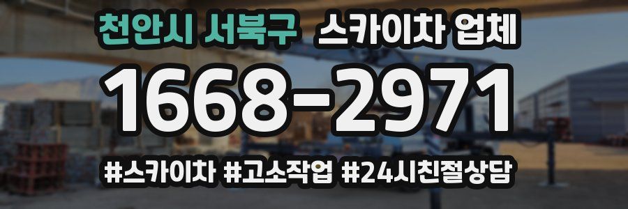 천안시 서북구 스카이차 업체