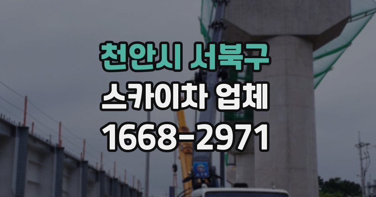 천안시 서북구 스카이차 업체