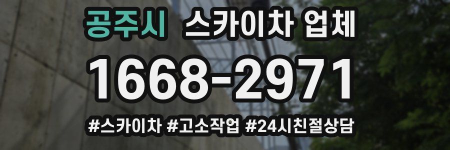 공주시 스카이차 업체