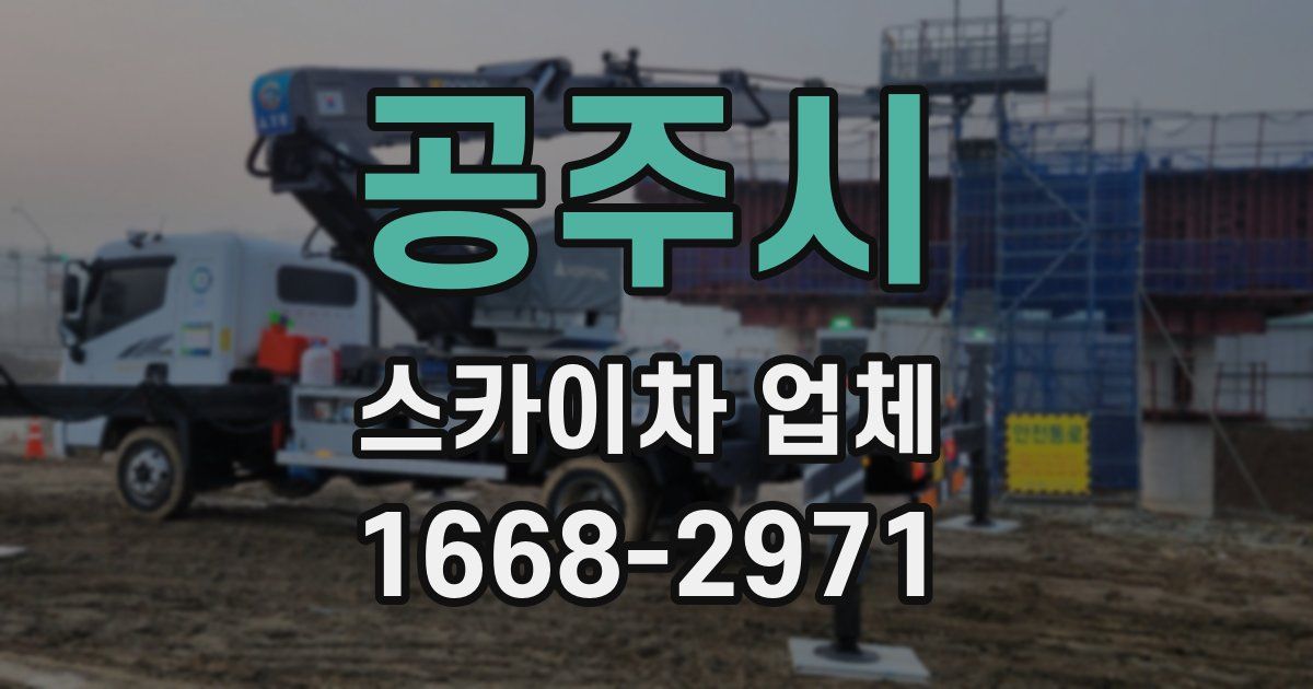 공주시 스카이차 업체
