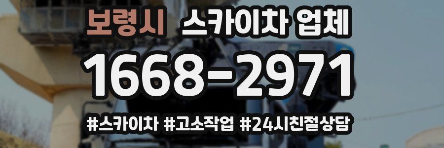 보령시 스카이차 업체