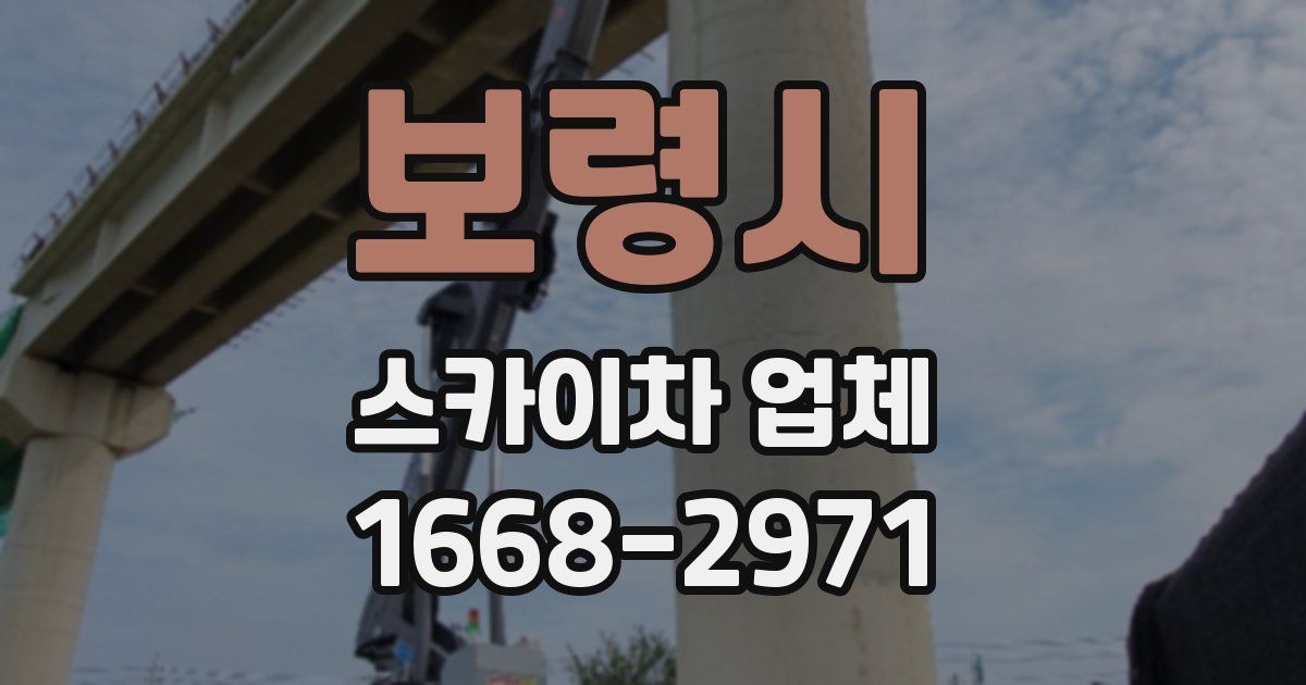 보령시 스카이차 업체