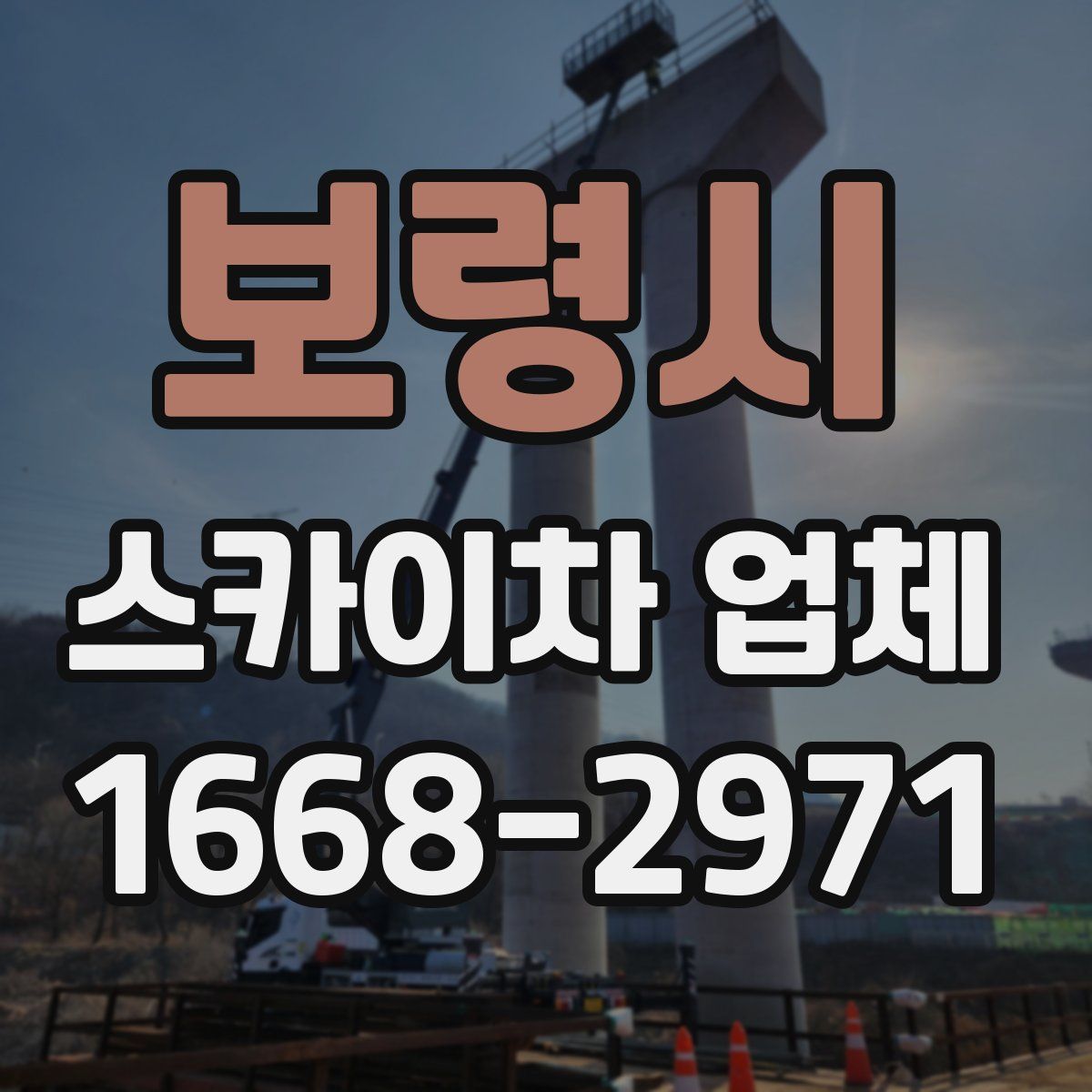 보령시 스카이차 업체