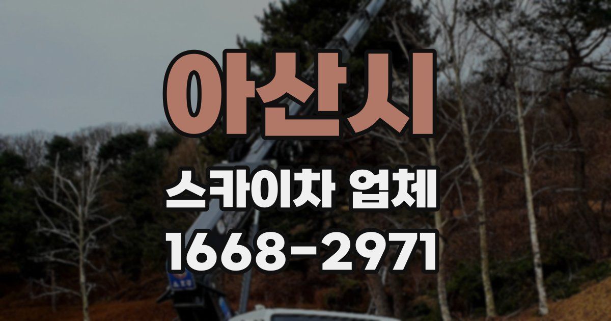 아산시 스카이차 업체