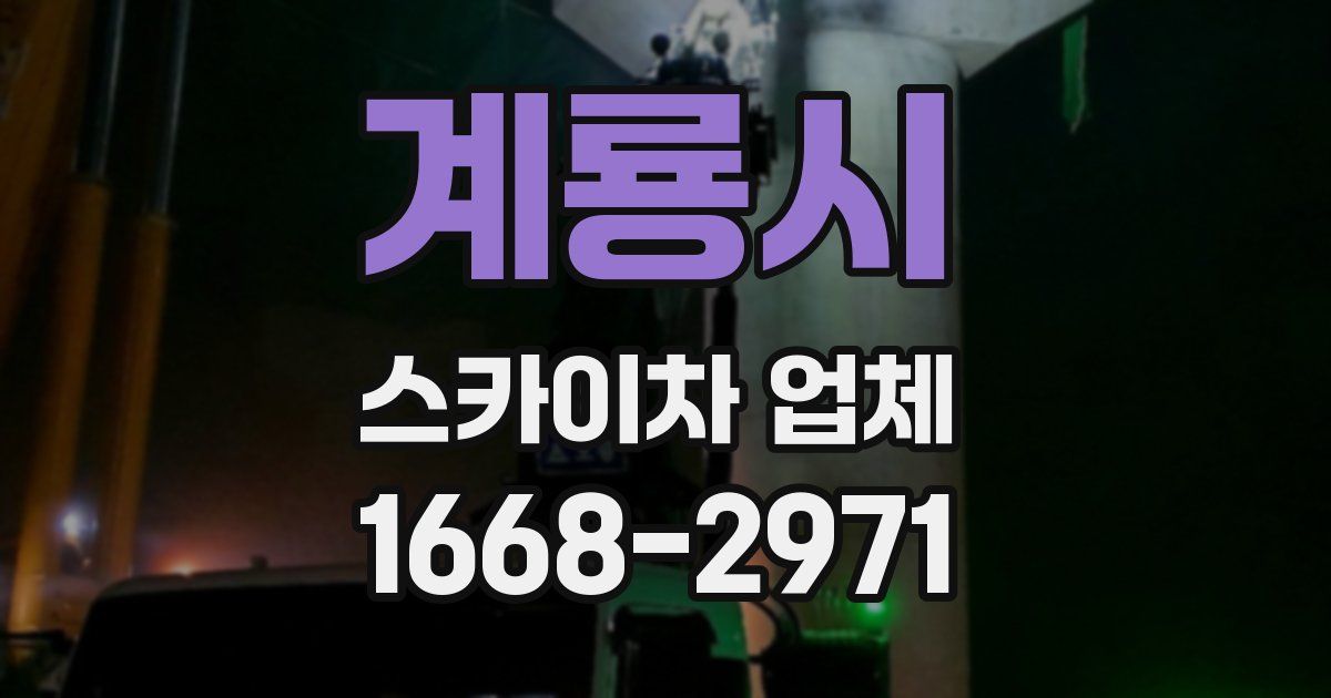 계룡시 스카이차 업체