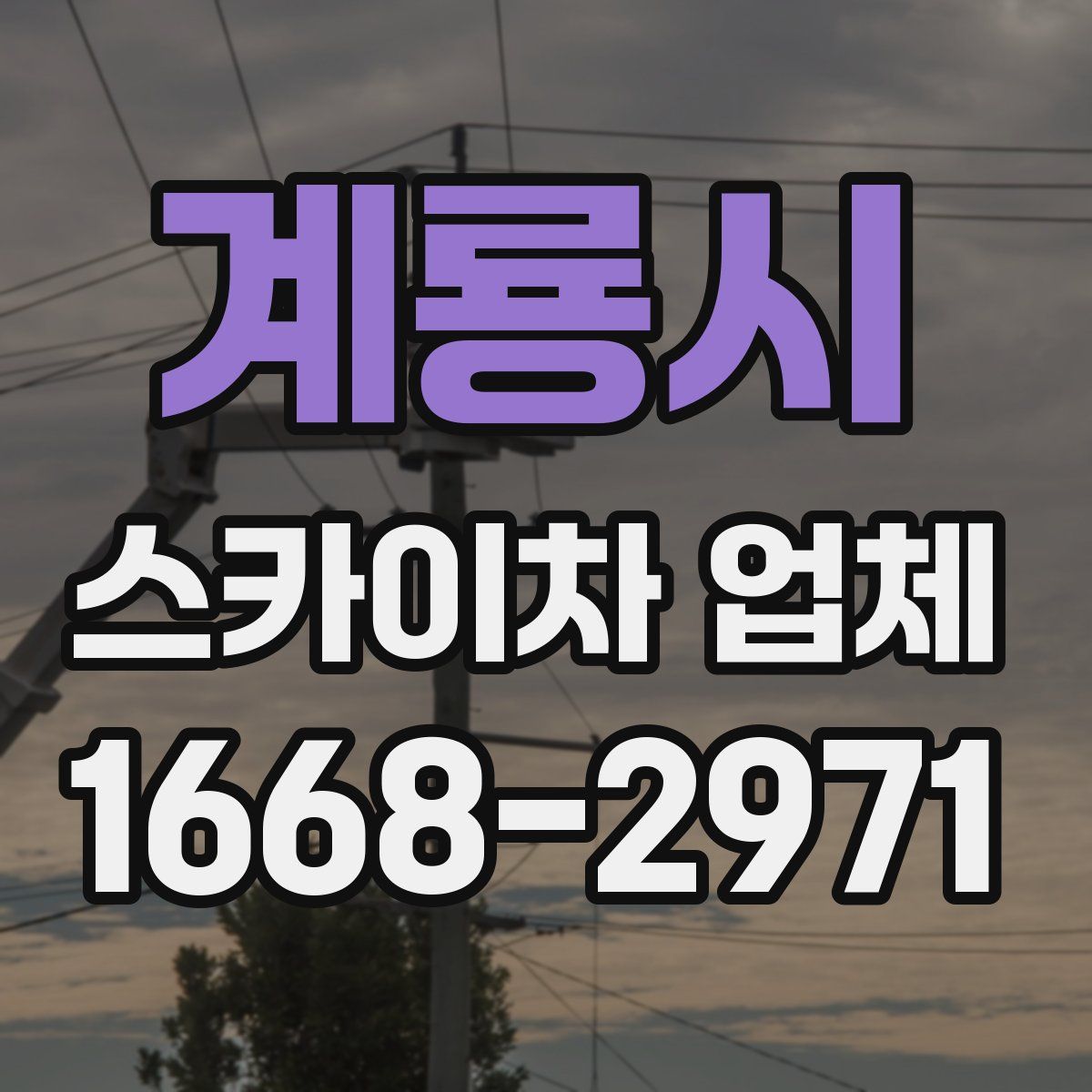 계룡시 스카이차 업체