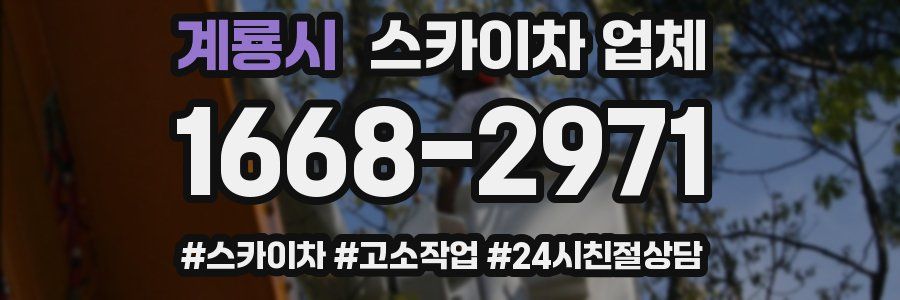 계룡시 스카이차 업체