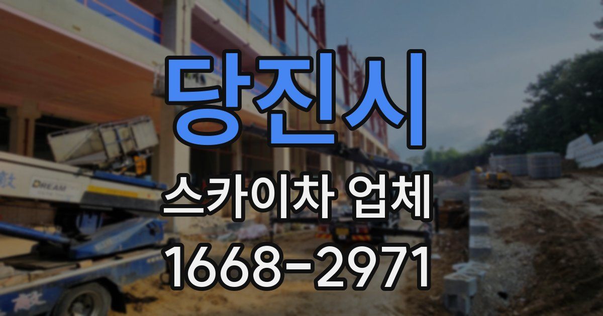 당진시 스카이차 업체