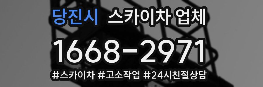 당진시 스카이차 업체