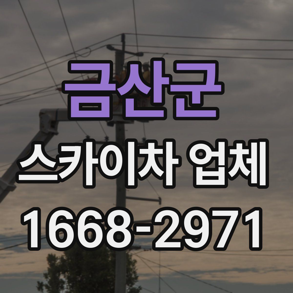금산군 스카이차 업체