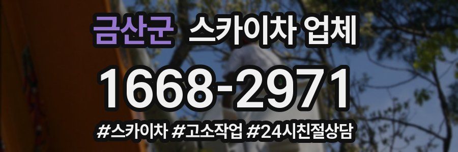 금산군 스카이차 업체