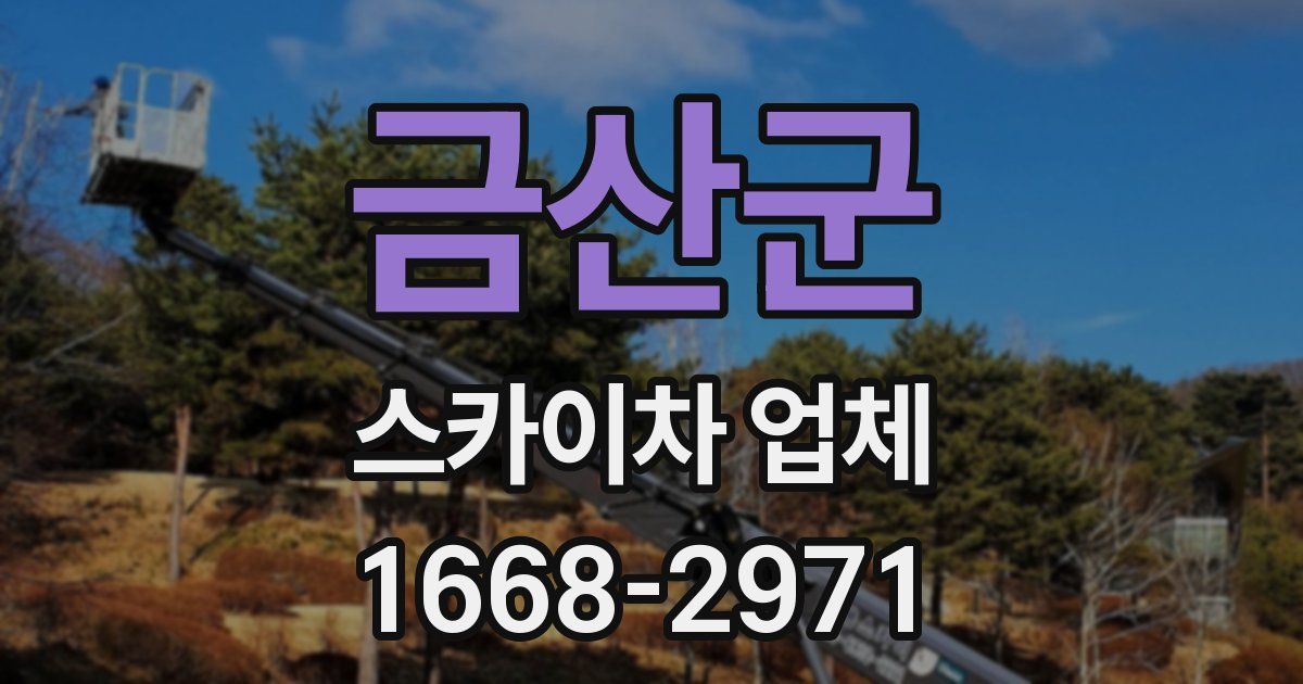 금산군 스카이차 업체
