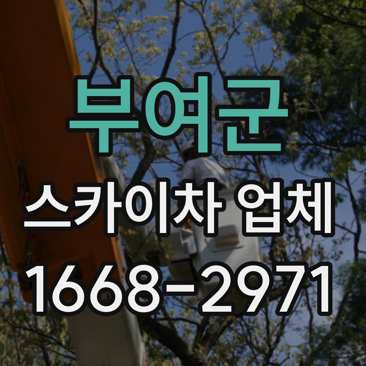 부여군 스카이차 업체