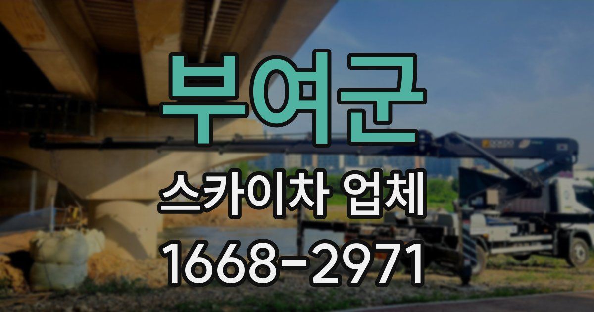 부여군 스카이차 업체