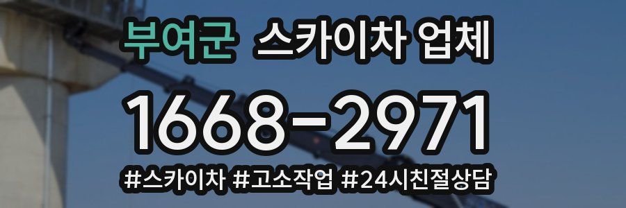 부여군 스카이차 업체