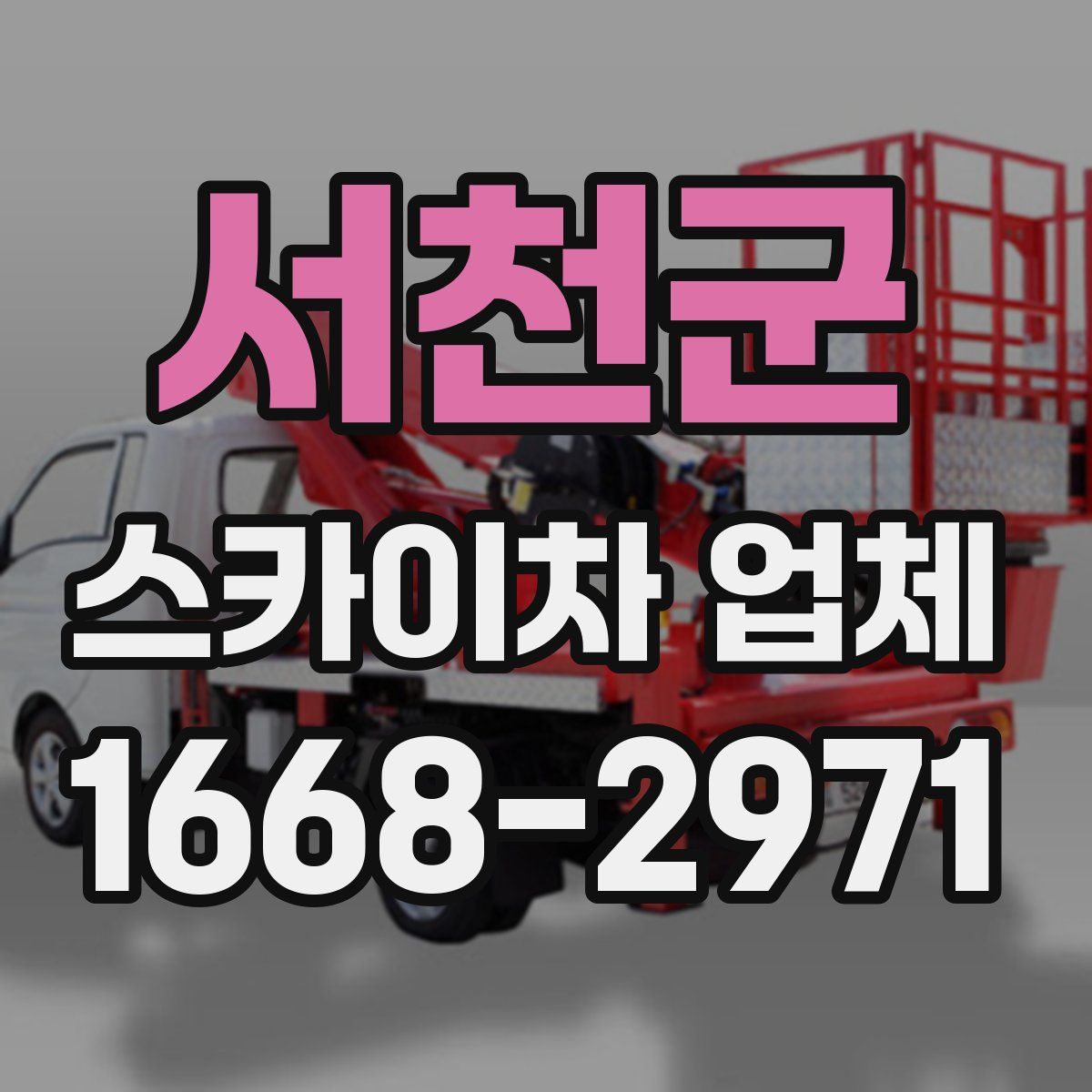 서천군 스카이차 업체