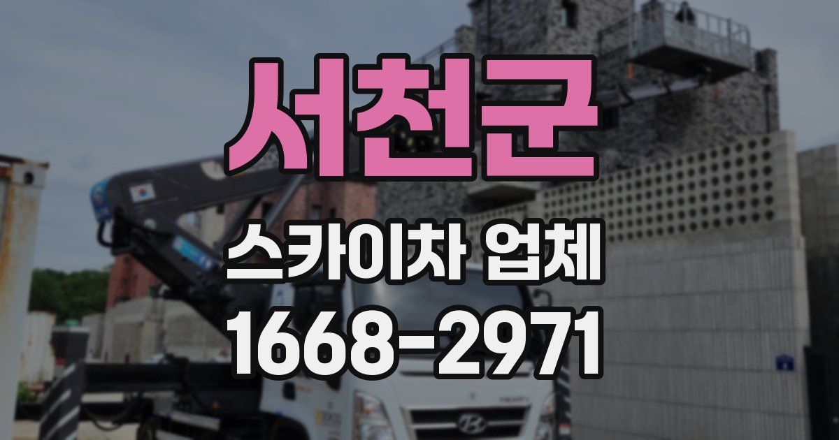 서천군 스카이차 업체