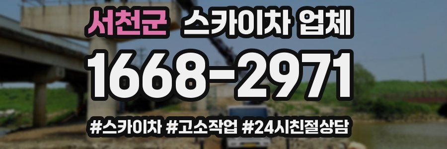 서천군 스카이차 업체
