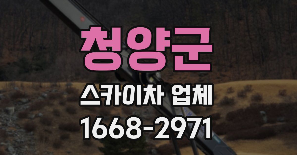 청양군 스카이차 업체