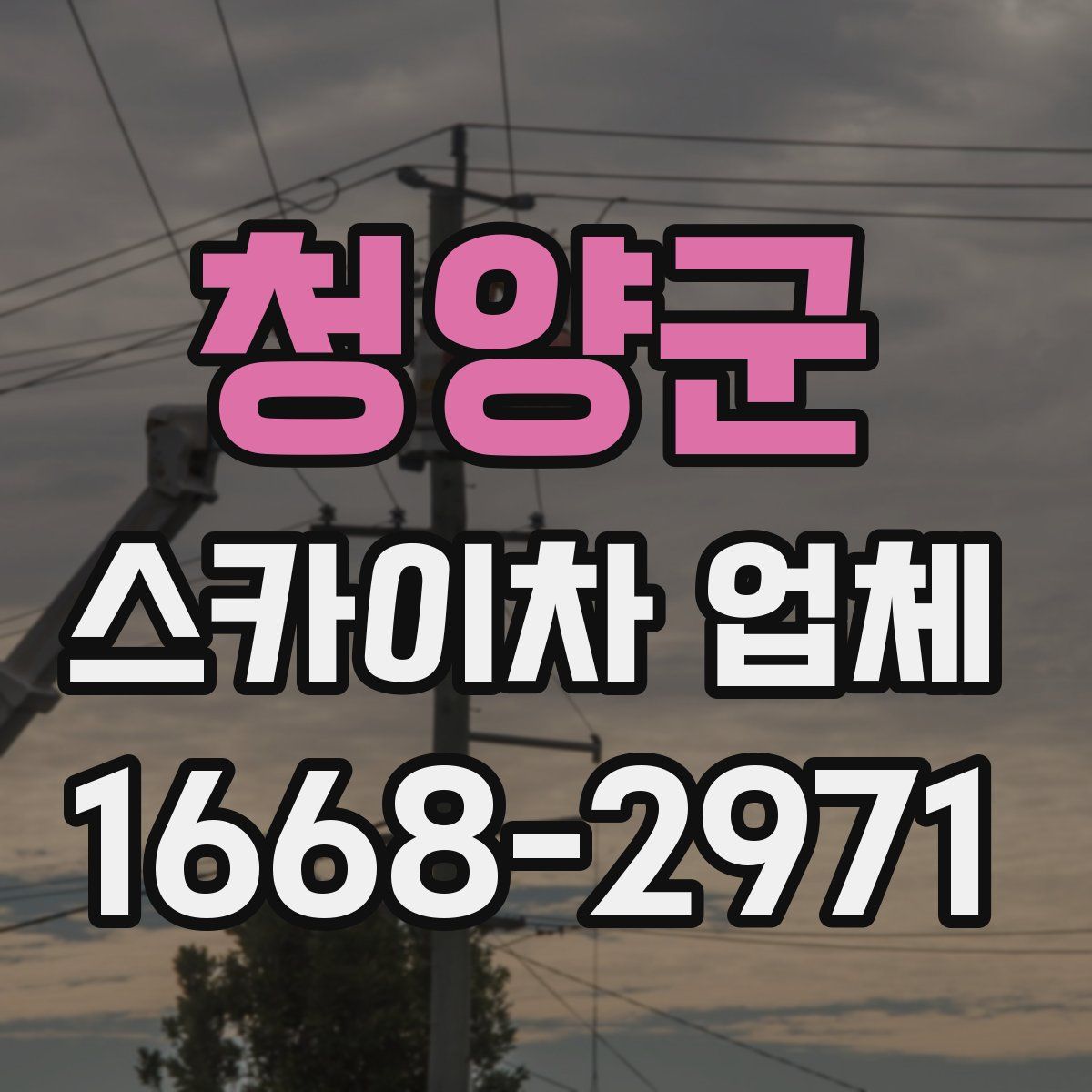 청양군 스카이차 업체