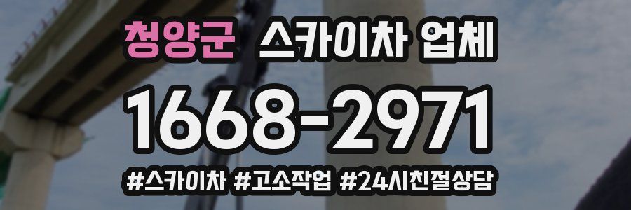 청양군 스카이차 업체