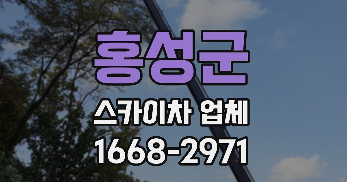 홍성군 스카이차 업체