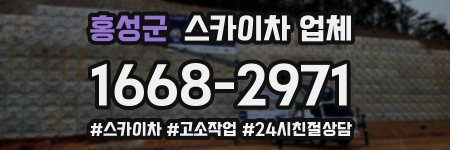 홍성군 스카이차 업체