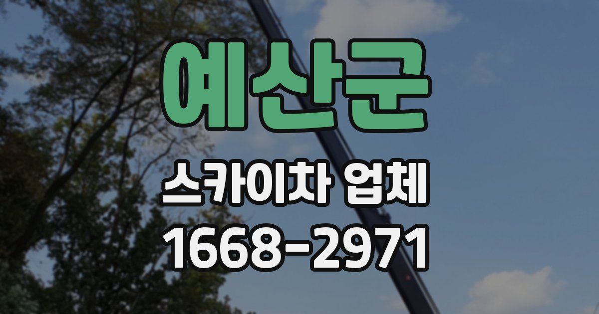 예산군 스카이차 업체