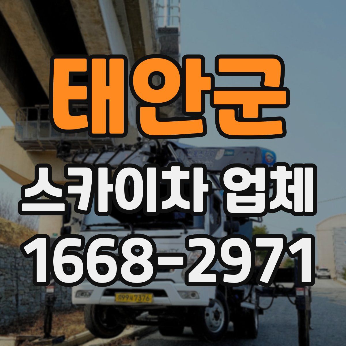 태안군 스카이차 업체