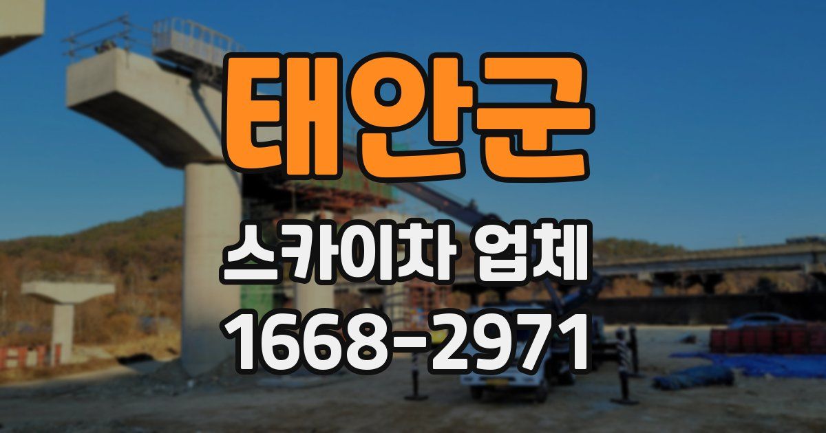 태안군 스카이차 업체
