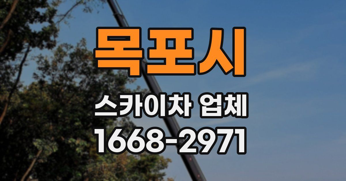 목포시 스카이차 업체