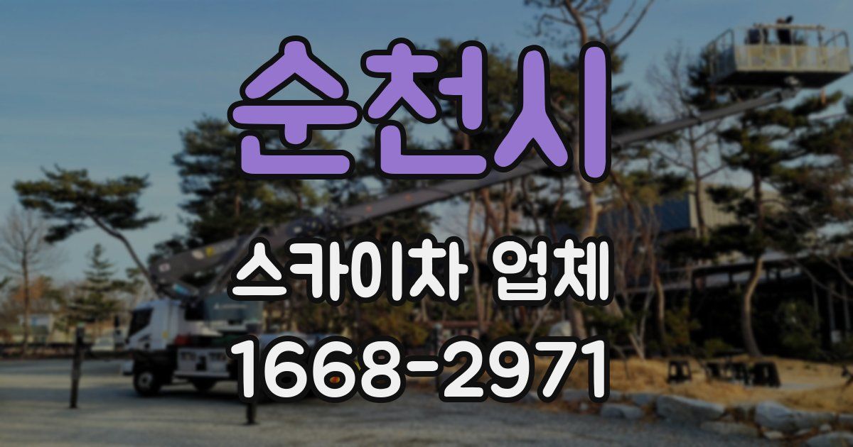 순천시 스카이차 업체