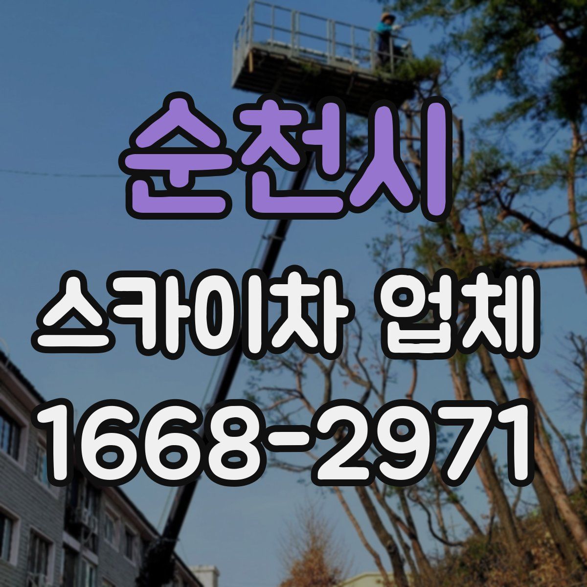 순천시 스카이차 업체