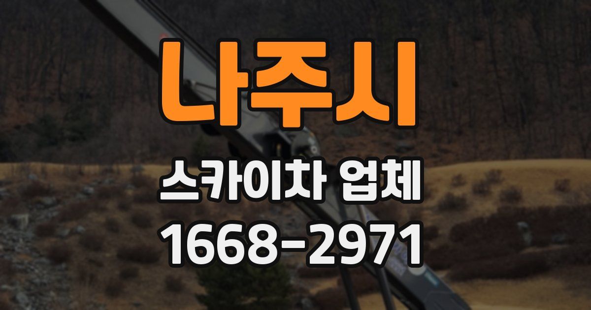 나주시 스카이차 업체