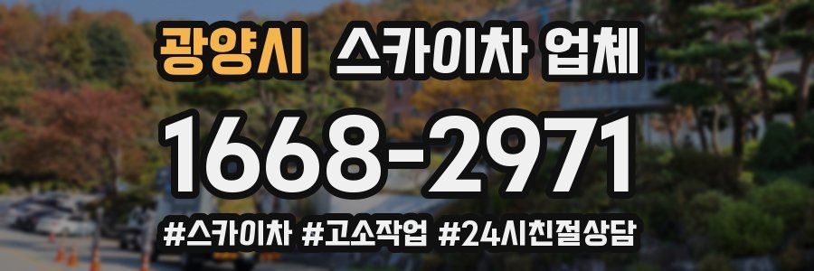 광양시 스카이차 업체