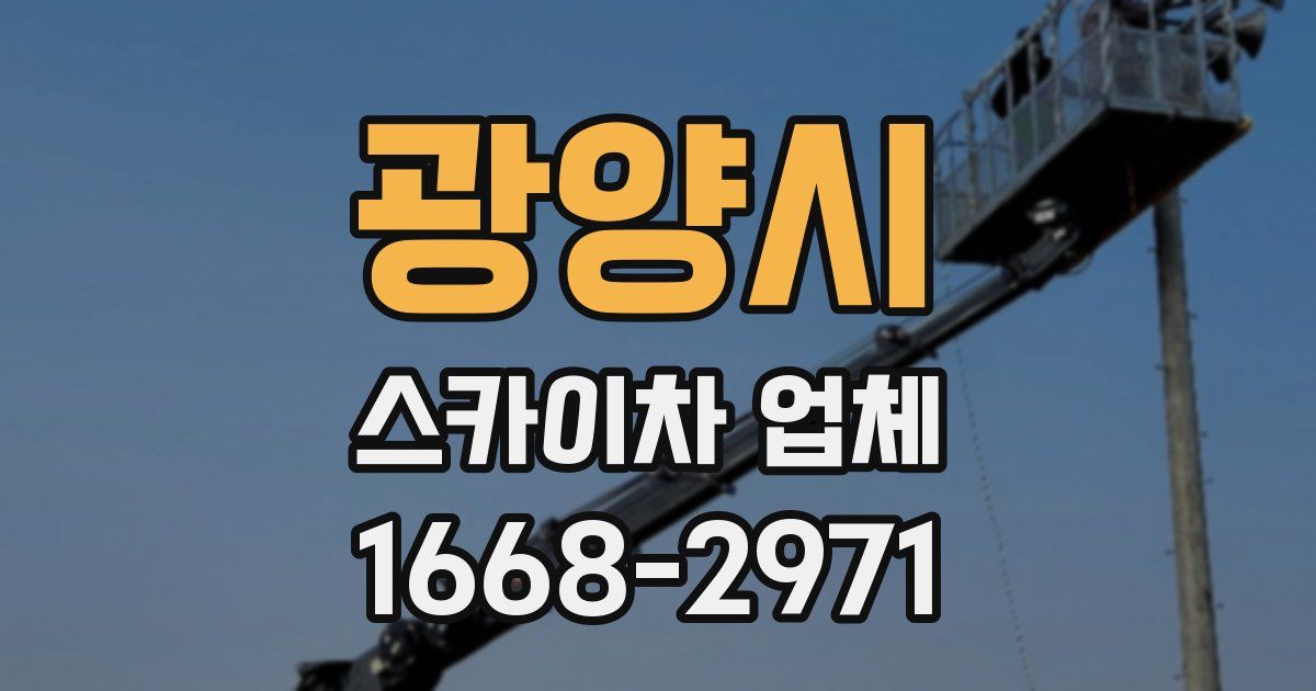 광양시 스카이차 업체