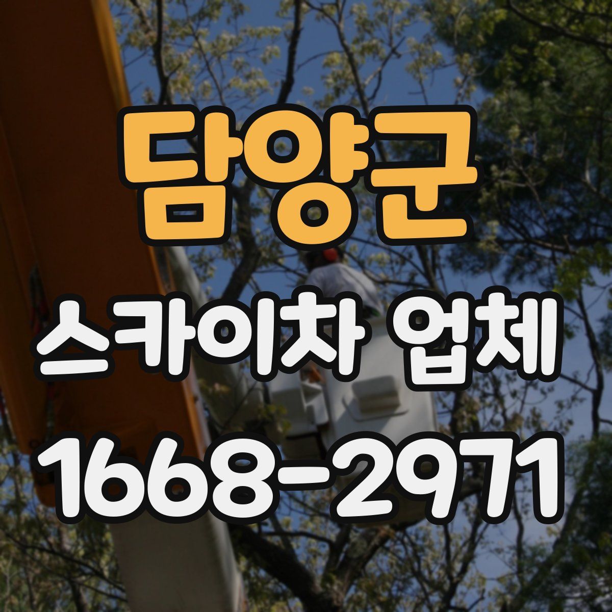 담양군 스카이차 업체