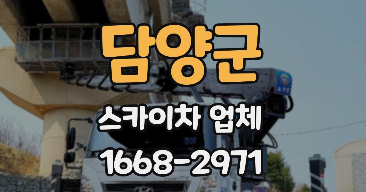 담양군 스카이차 업체