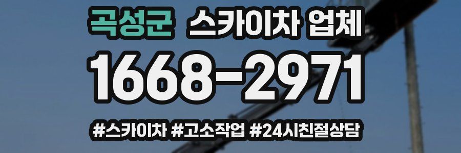 곡성군 스카이차 업체