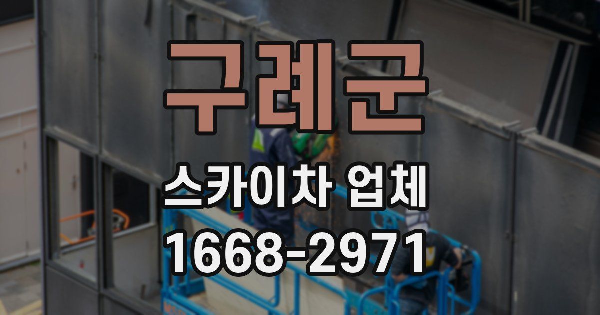 구례군 스카이차 업체