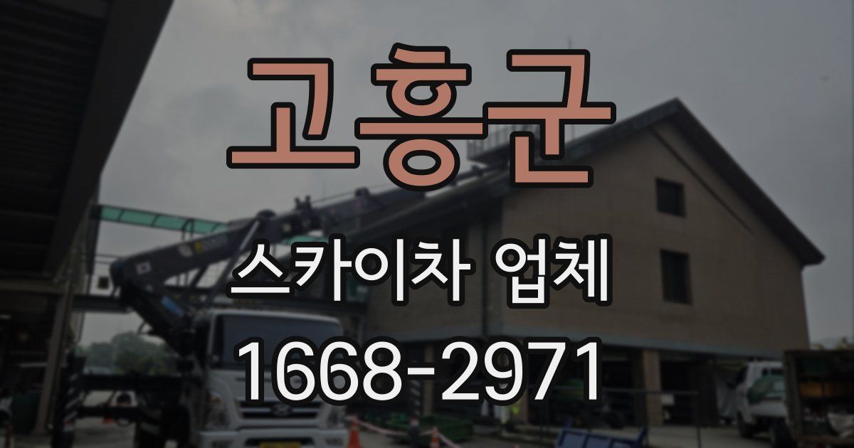 고흥군 스카이차 업체