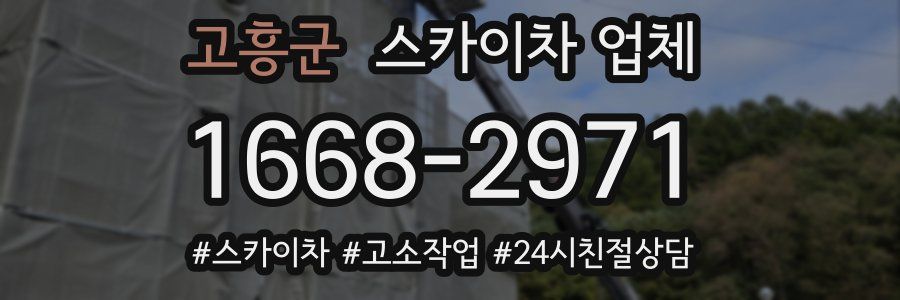 고흥군 스카이차 업체