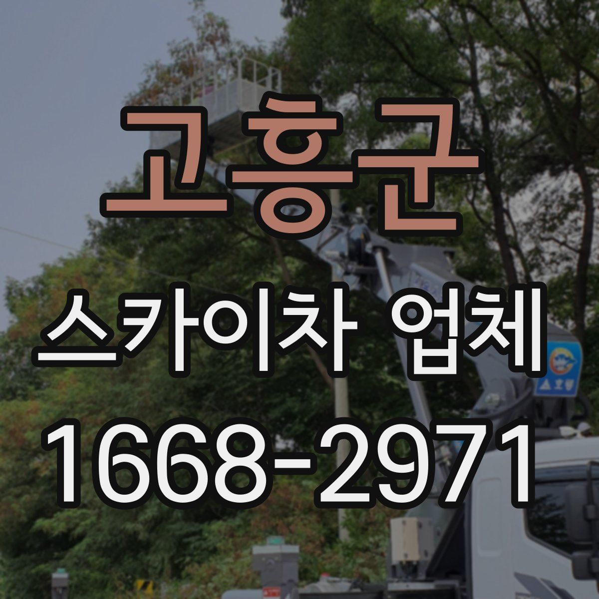 고흥군 스카이차 업체