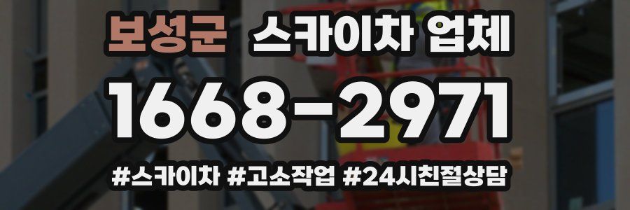 보성군 스카이차 업체