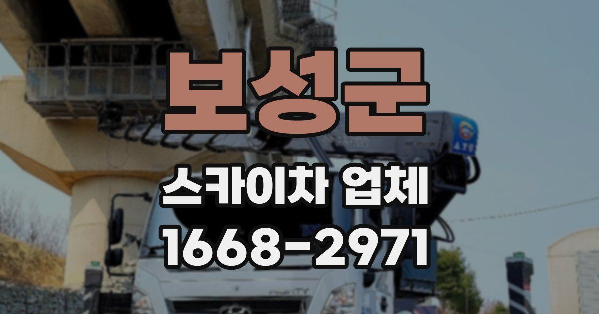 보성군 스카이차 업체