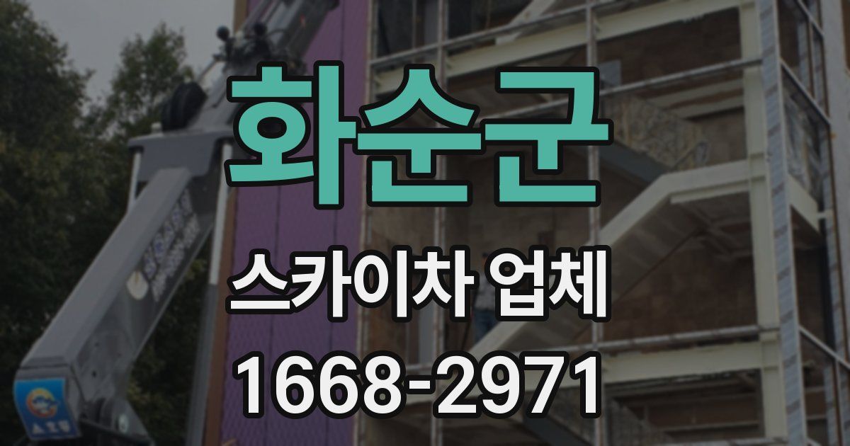 화순군 스카이차 업체