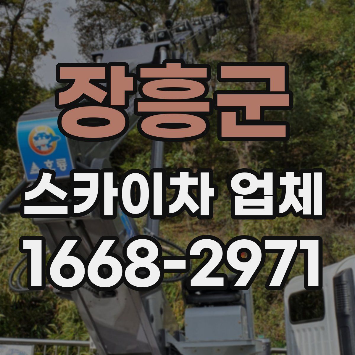 장흥군 스카이차 업체